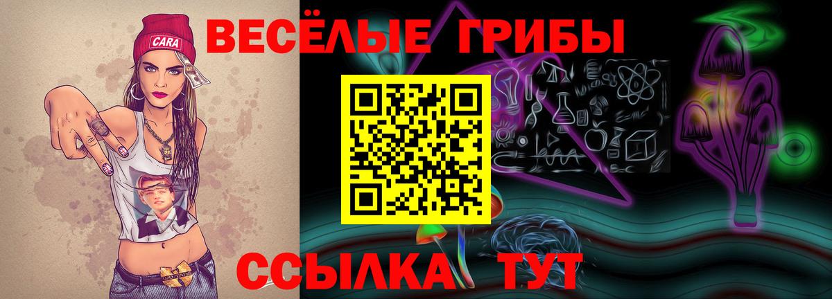 Галлюциногенные грибы мухоморы  Вход с VPN  Ковров 